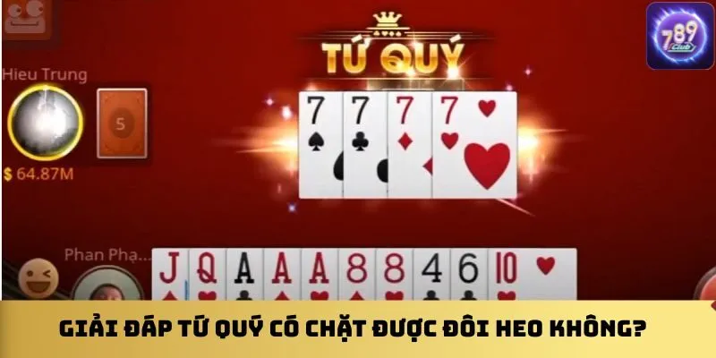 nhung-sai-lam-pho-bien-khi-dung-tu-quy-chat-heo