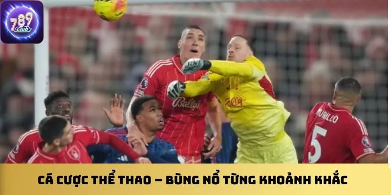 Cá cược thể thao – Bùng nổ từng khoảnh khắc